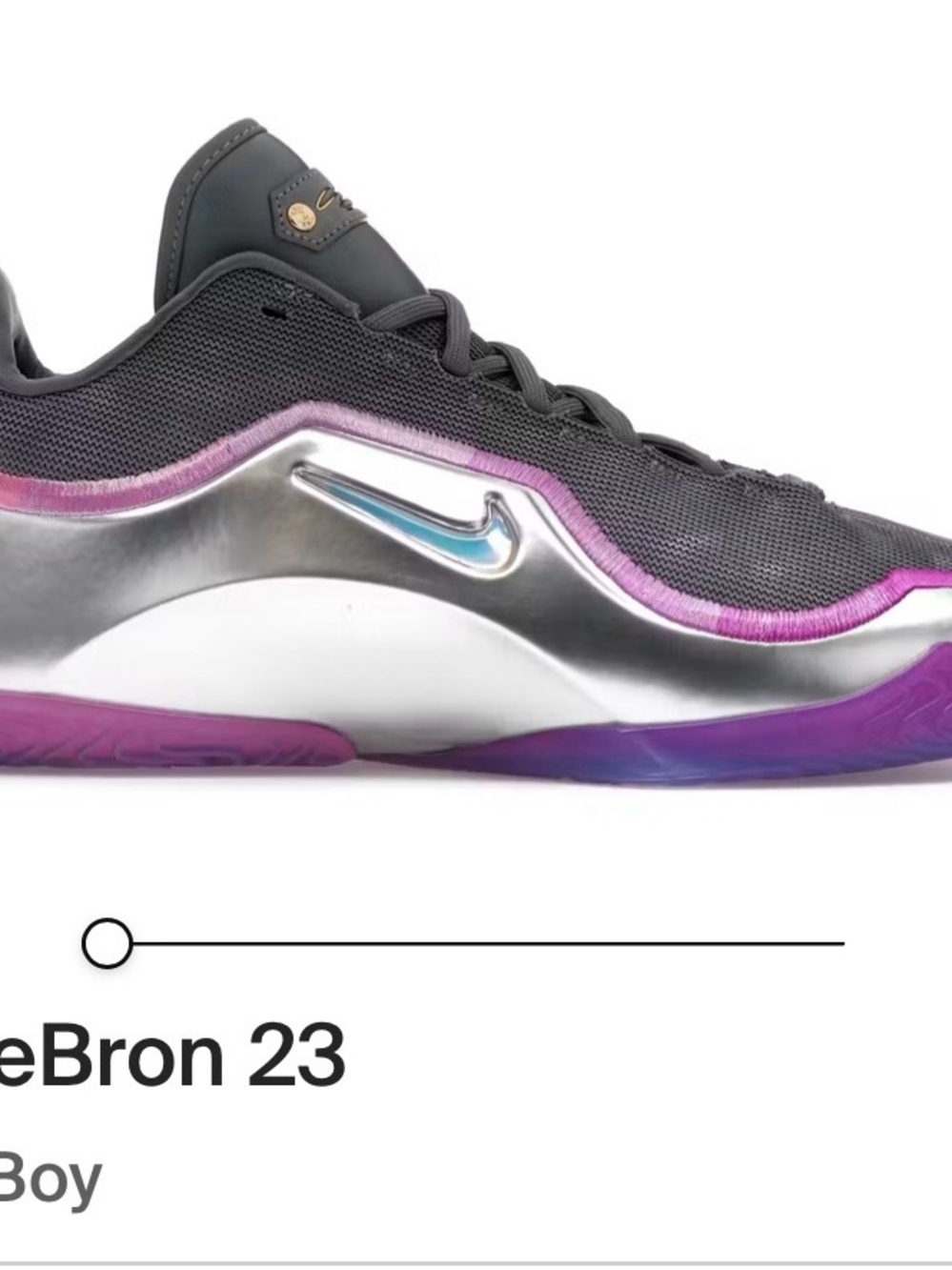 Nike LeBron 23 Men size 13. NWT Gray/Purple